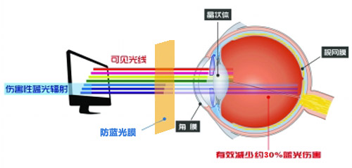 深夜福利网址最新科技成果 深夜视频免费在线观看成护眼利器 深夜福利网址最新科技成果 深夜视频免费在线观看成护眼利器
